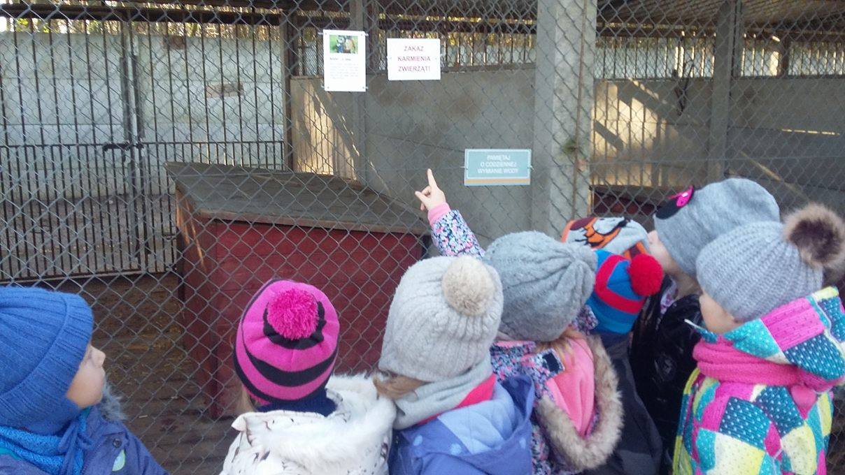 Dzieci z Przedszkola Jarzębinka w Schronisku dla zwierząt w Gaju