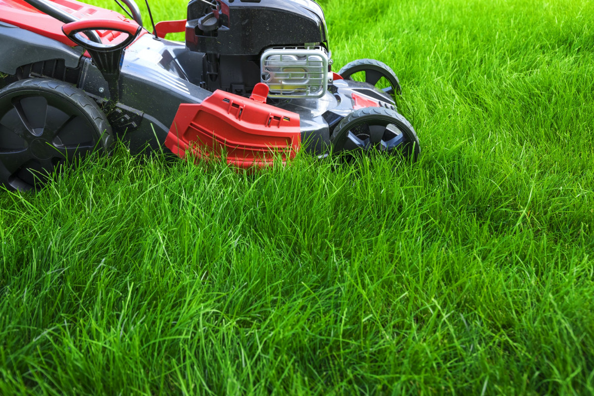 Lawn mower in tall grass
